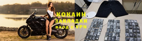 ГАЛЛЮЦИНОГЕННЫЕ ГРИБЫ Сосновка