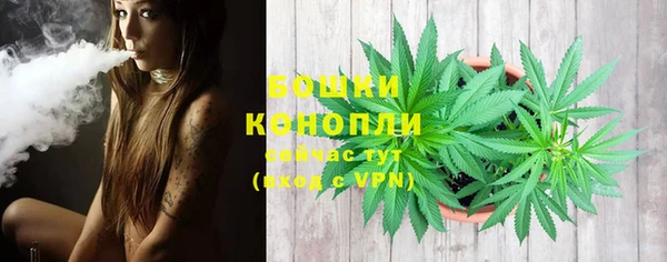 молекула духа Белоозёрский