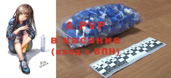 ГАЛЛЮЦИНОГЕННЫЕ ГРИБЫ Сосновка