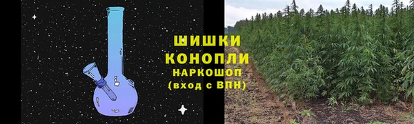 стафф Белокуриха