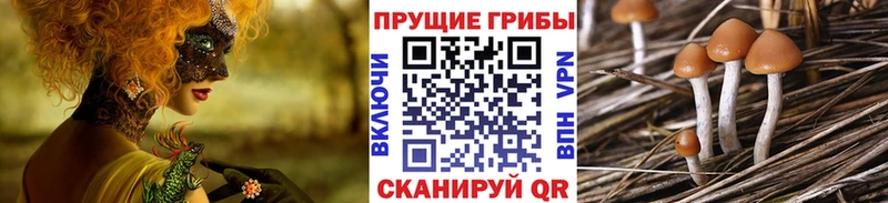 что такое   Макарьев  hydra   Псилоцибиновые грибы мухоморы 