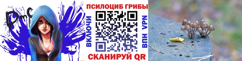 Галлюциногенные грибы Magic Shrooms Макарьев